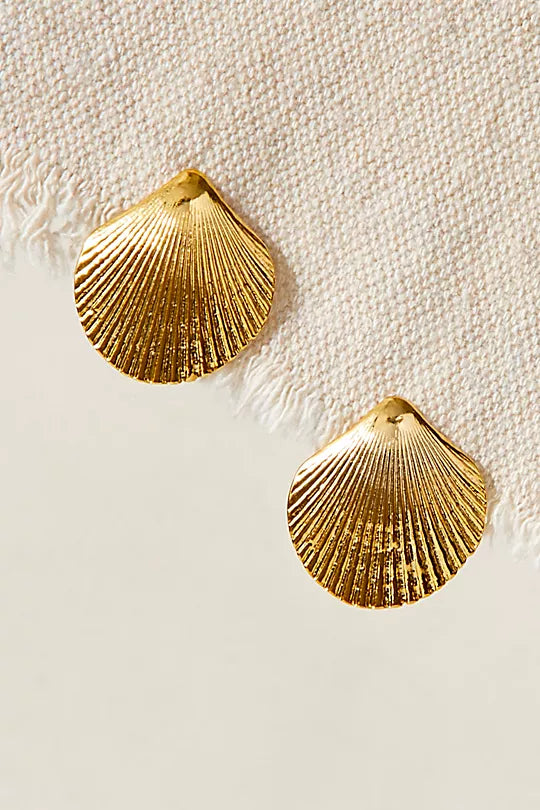 Calico Shell Studs